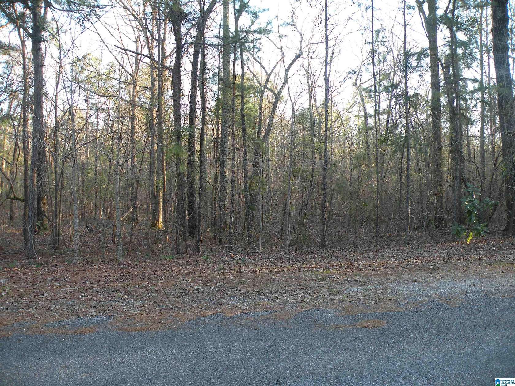 5.74 Acres of Residential Land for Sale in Childersburg, Alabama