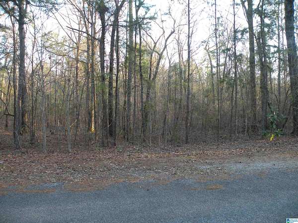 5.74 Acres of Residential Land for Sale in Childersburg, Alabama