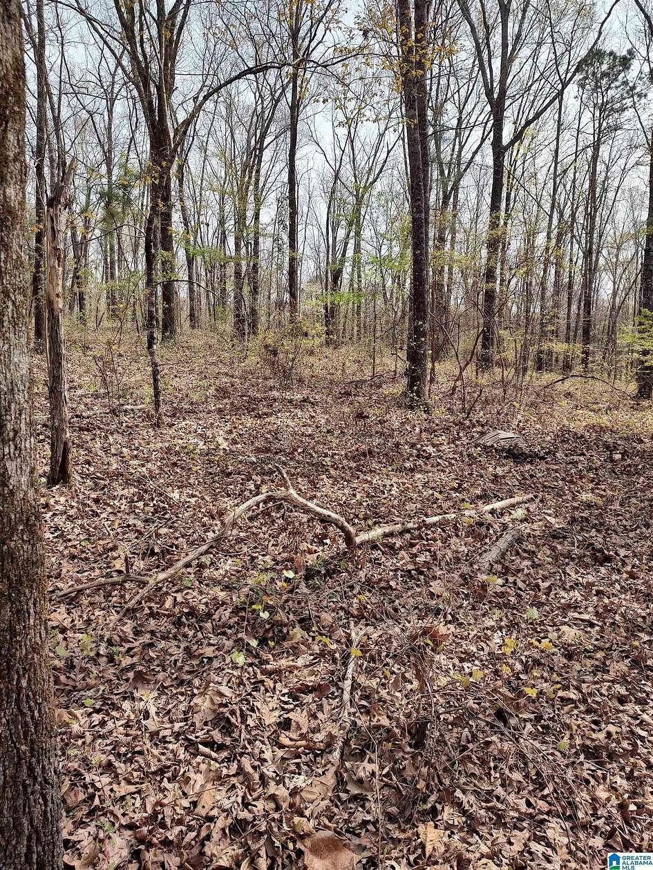 2.8 Acres of Land for Sale in Childersburg, Alabama
