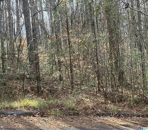 0.81 Acres of Residential Land for Sale in Springville, Alabama