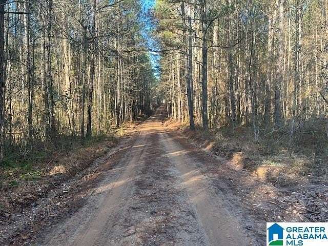 56.3 Acres of Recreational & Residential Land for Sale in Cragford, Alabama