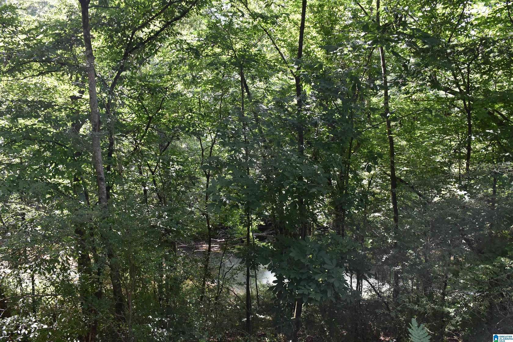 28 Acres of Recreational Land for Sale in Sylacauga, Alabama