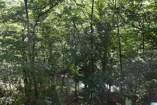 28 Acres of Recreational Land for Sale in Sylacauga, Alabama