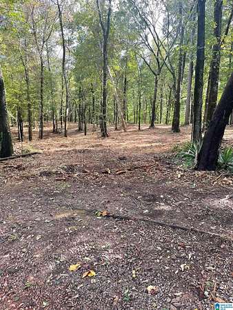 10 Acres of Residential Land for Sale in Birmingham, Alabama