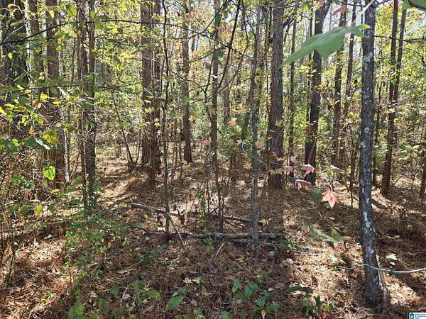 1 Acre of Residential Land for Sale in Oneonta, Alabama