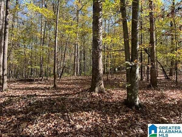 143 Acres of Land for Sale in Columbiana, Alabama