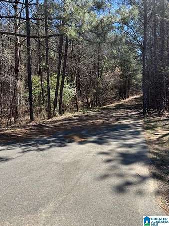 71 Acres of Land for Sale in McCalla, Alabama