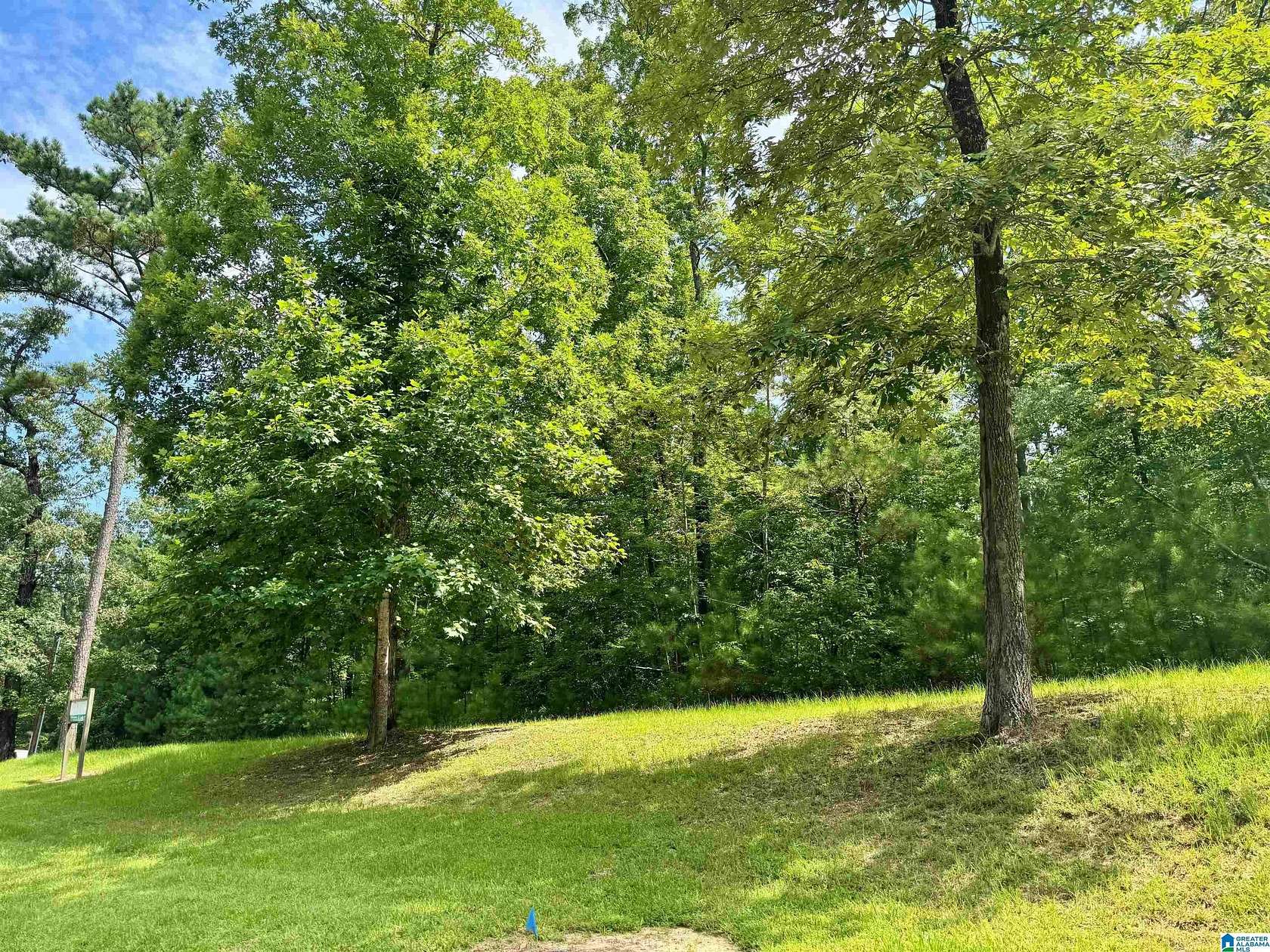 1 Acre of Residential Land for Sale in Birmingham, Alabama
