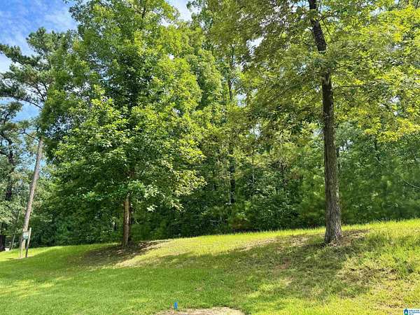 1 Acre of Residential Land for Sale in Birmingham, Alabama