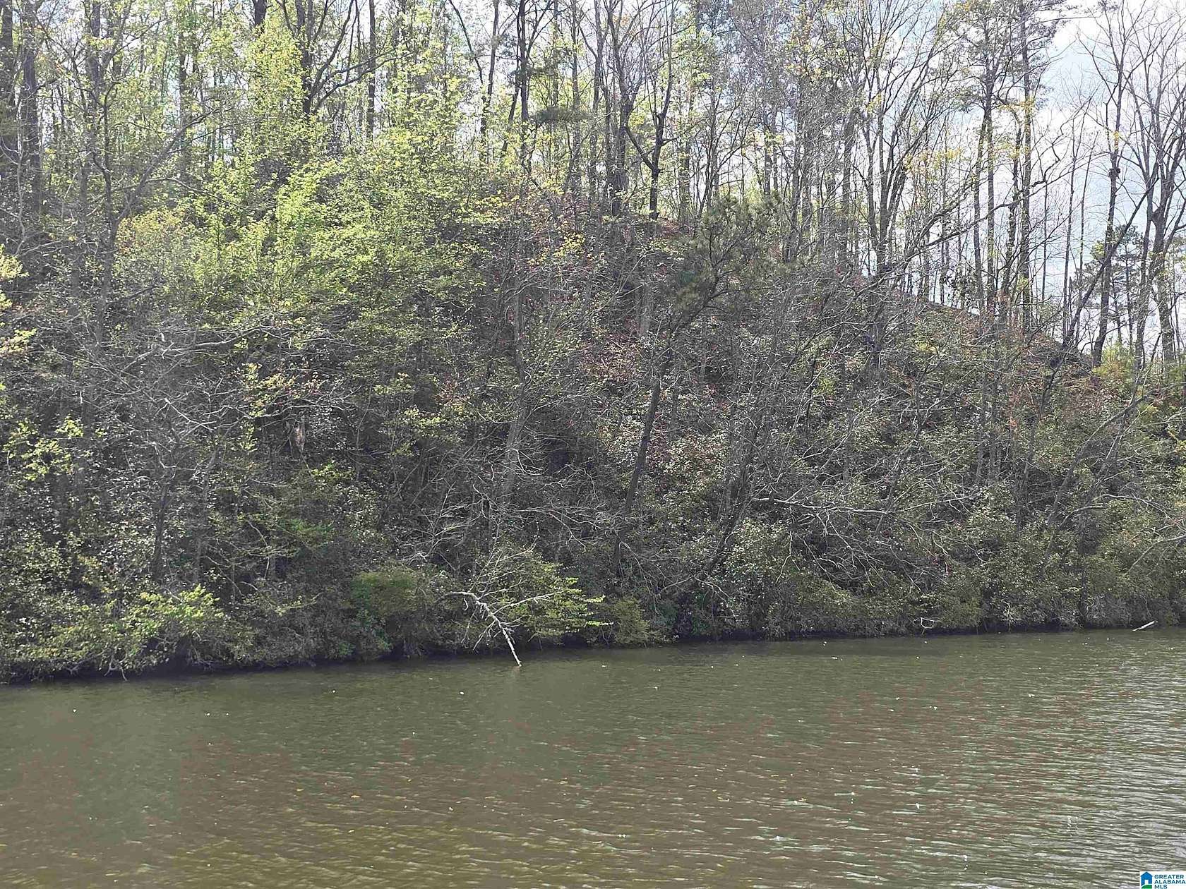 1 Acre of Land for Sale in Rockford, Alabama