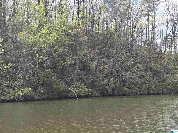 1 Acre of Land for Sale in Rockford, Alabama