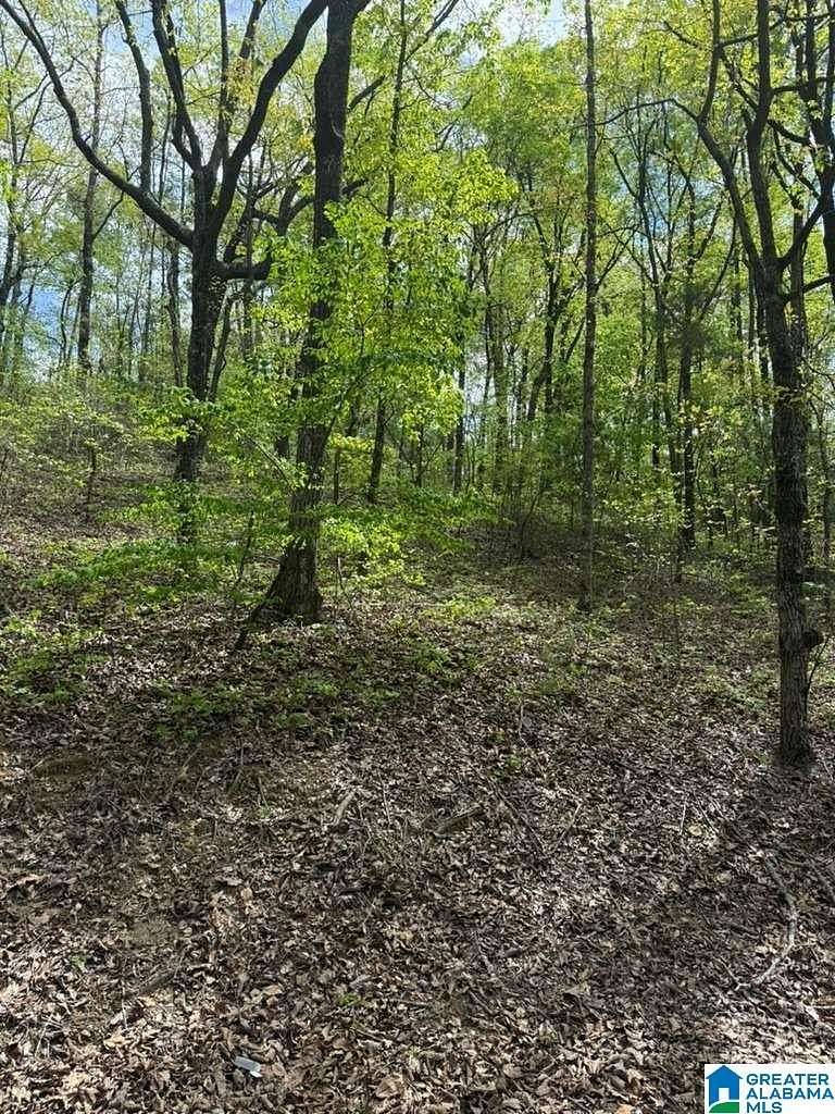 0.22 Acres of Residential Land for Sale in Lakeview, Alabama
