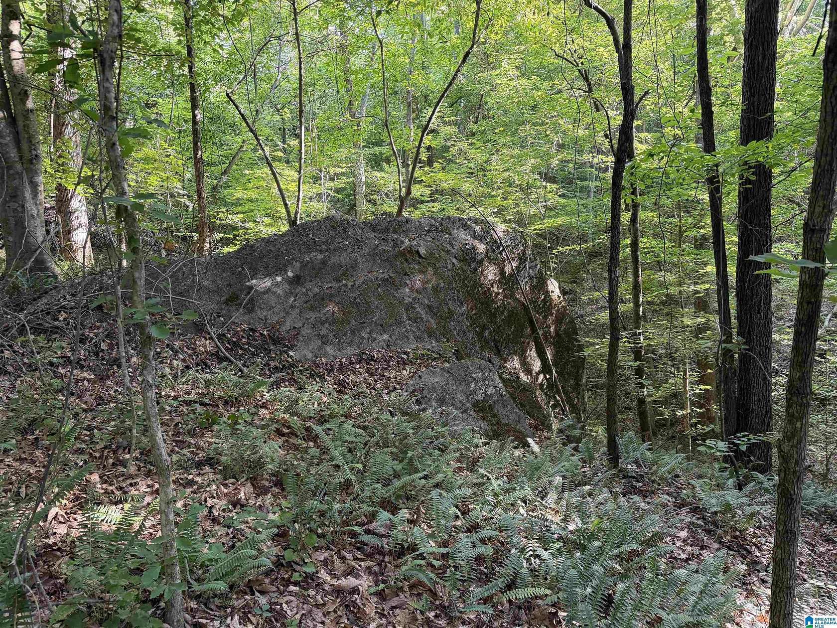 11 Acres of Land for Sale in Roanoke, Alabama