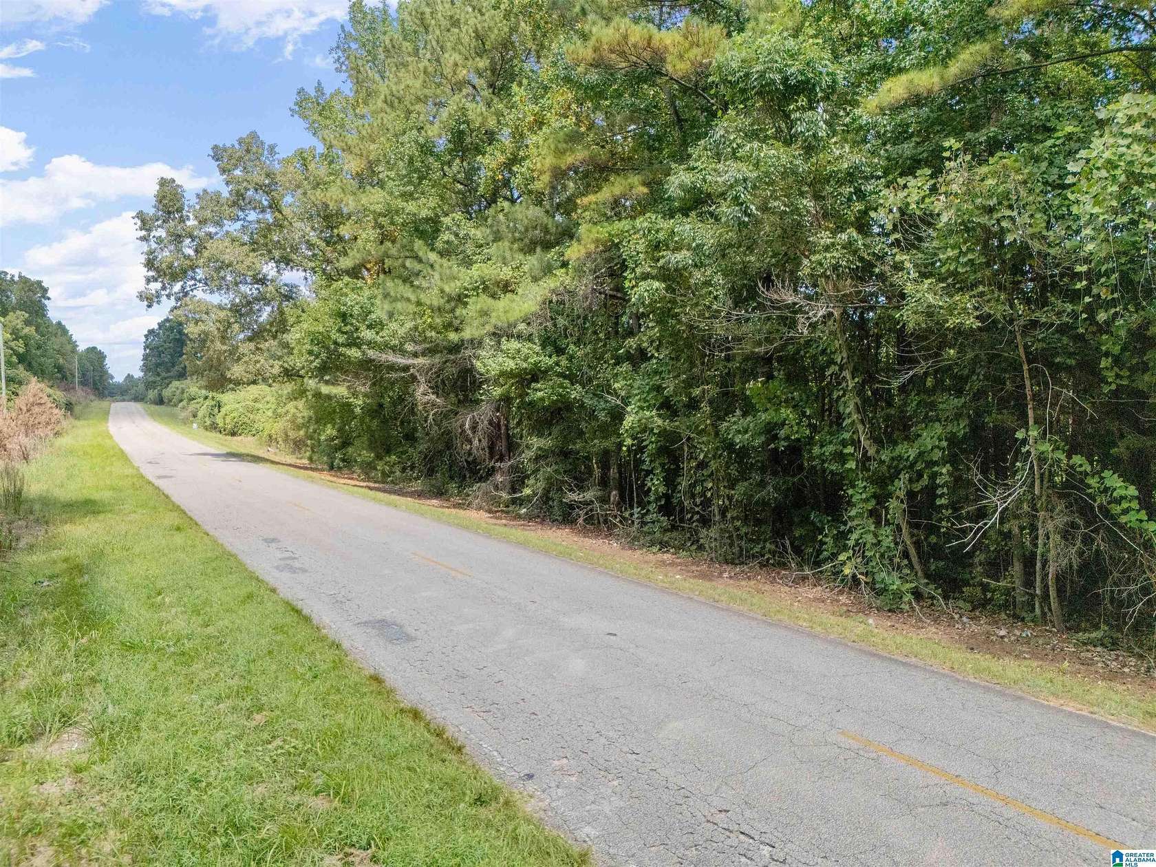 11 Acres of Land for Sale in Roanoke, Alabama