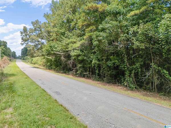 11 Acres of Land for Sale in Roanoke, Alabama