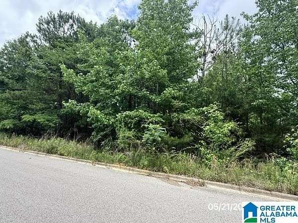 0.35 Acres of Residential Land for Sale in Birmingham, Alabama