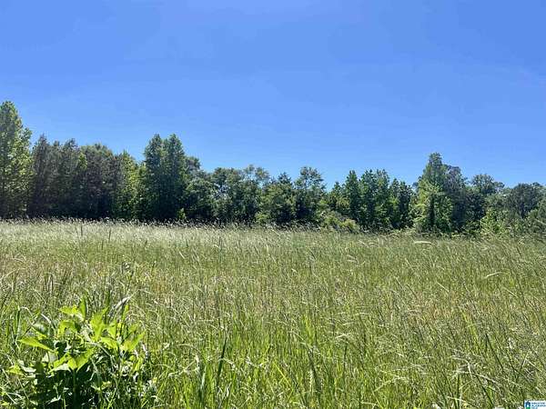 120 Acres of Recreational & Residential Land for Sale in Wedowee, Alabama