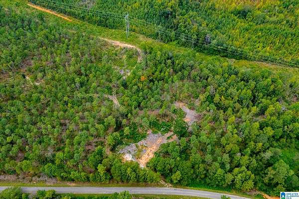 80.7 Acres of Land for Sale in Wedowee, Alabama