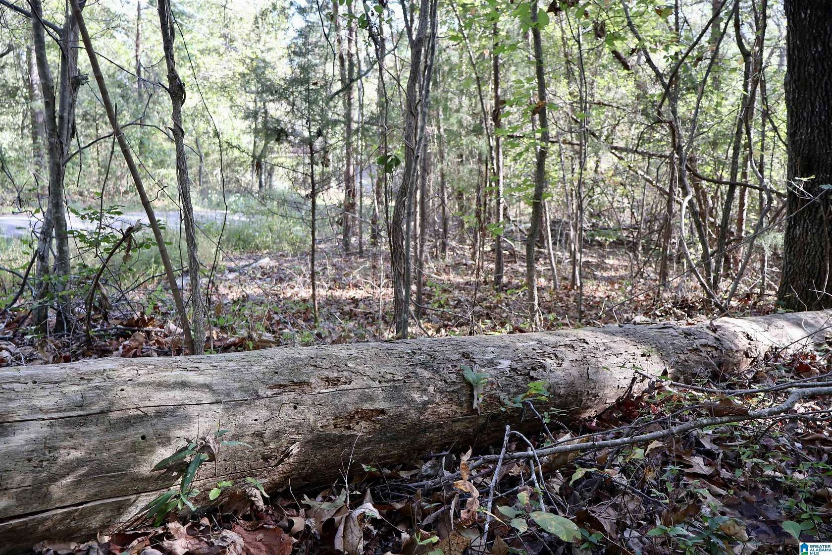 0.46 Acres of Residential Land for Sale in Pinson, Alabama