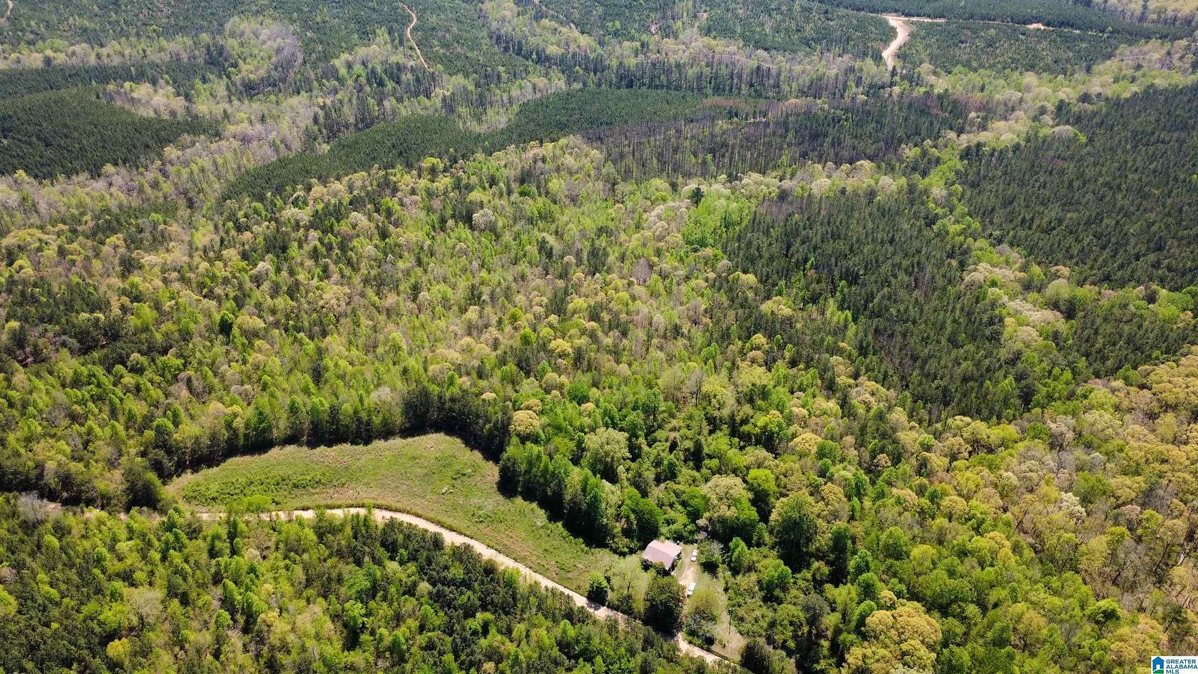109 Acres of Land for Sale in Muscadine, Alabama