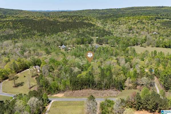 6.87 Acres of Residential Land for Sale in Pell City, Alabama