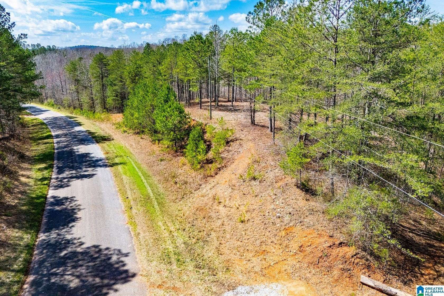 23 Acres of Recreational & Residential Land for Sale in Wedowee, Alabama