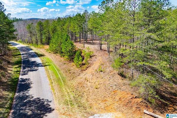 23 Acres of Recreational & Residential Land for Sale in Wedowee, Alabama