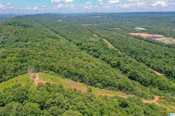 387 Acres of Recreational Land for Sale in Bessemer, Alabama