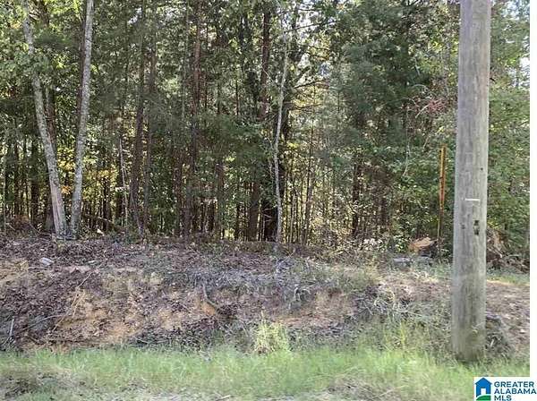 3 Acres of Residential Land for Sale in Pinson, Alabama