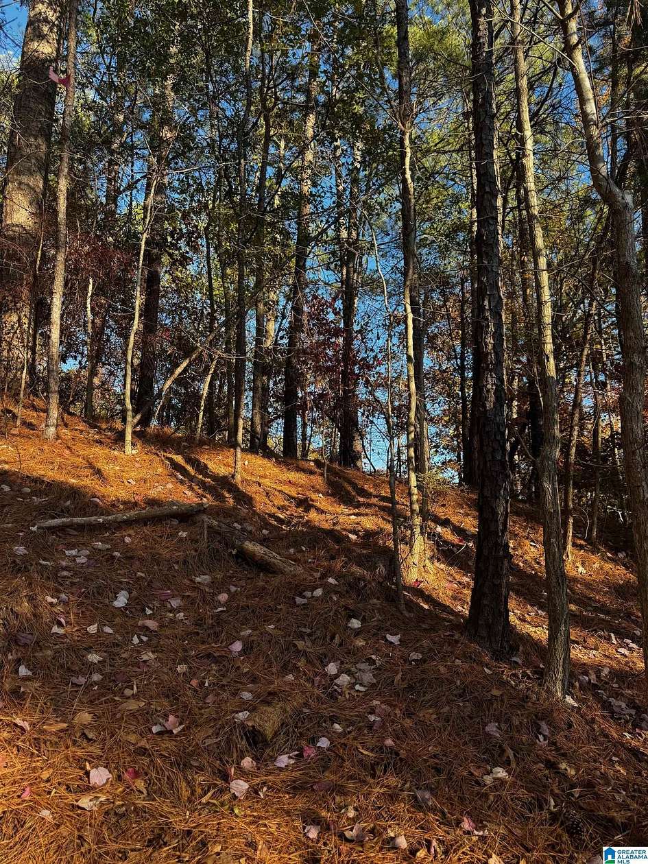 1.1 Acres of Residential Land for Sale in Vestavia Hills, Alabama