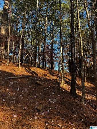 1.1 Acres of Residential Land for Sale in Vestavia Hills, Alabama