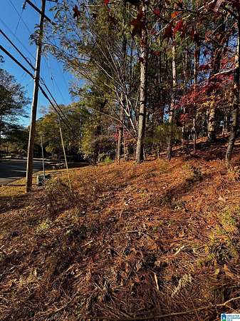 1.1 Acres of Residential Land for Sale in Vestavia Hills, Alabama