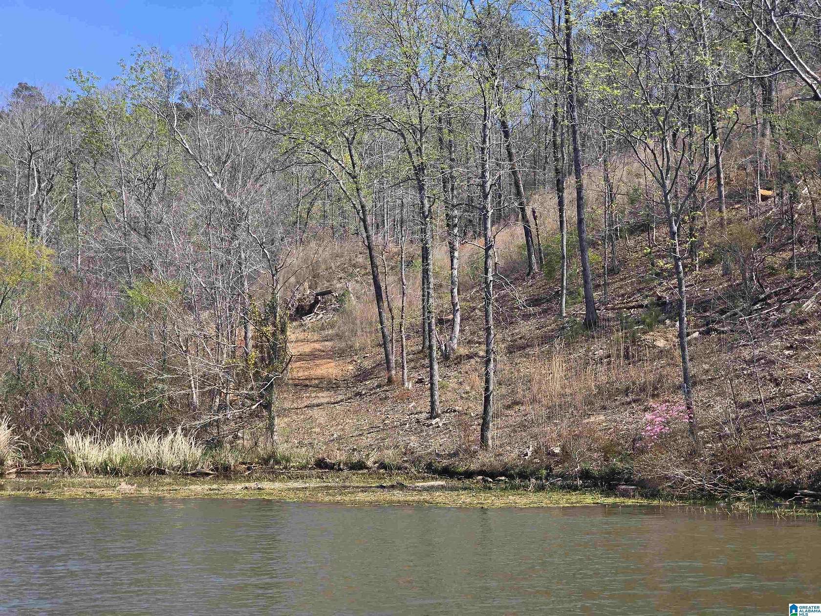 0.85 Acres of Residential Land for Sale in Rockford, Alabama