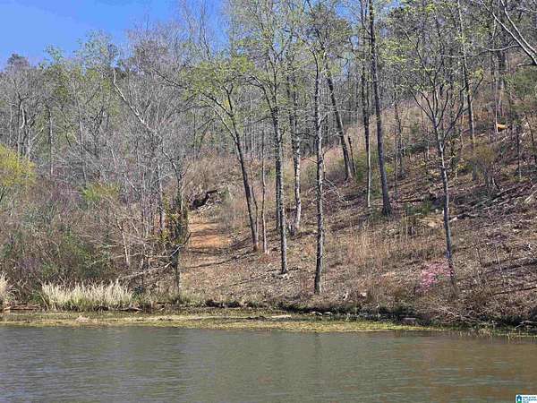 0.85 Acres of Residential Land for Sale in Rockford, Alabama