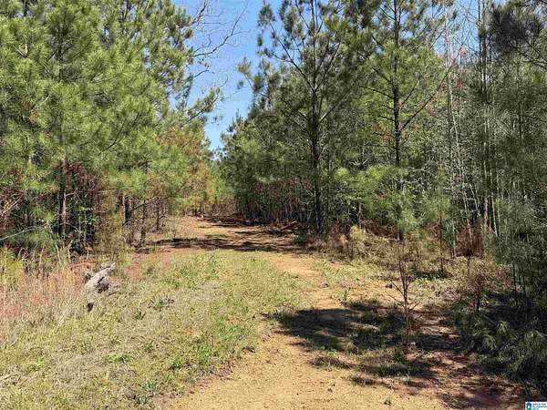35 Acres of Land for Sale in Wadley, Alabama