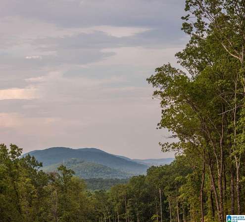 2.13 Acres of Residential Land for Sale in Chelsea, Alabama