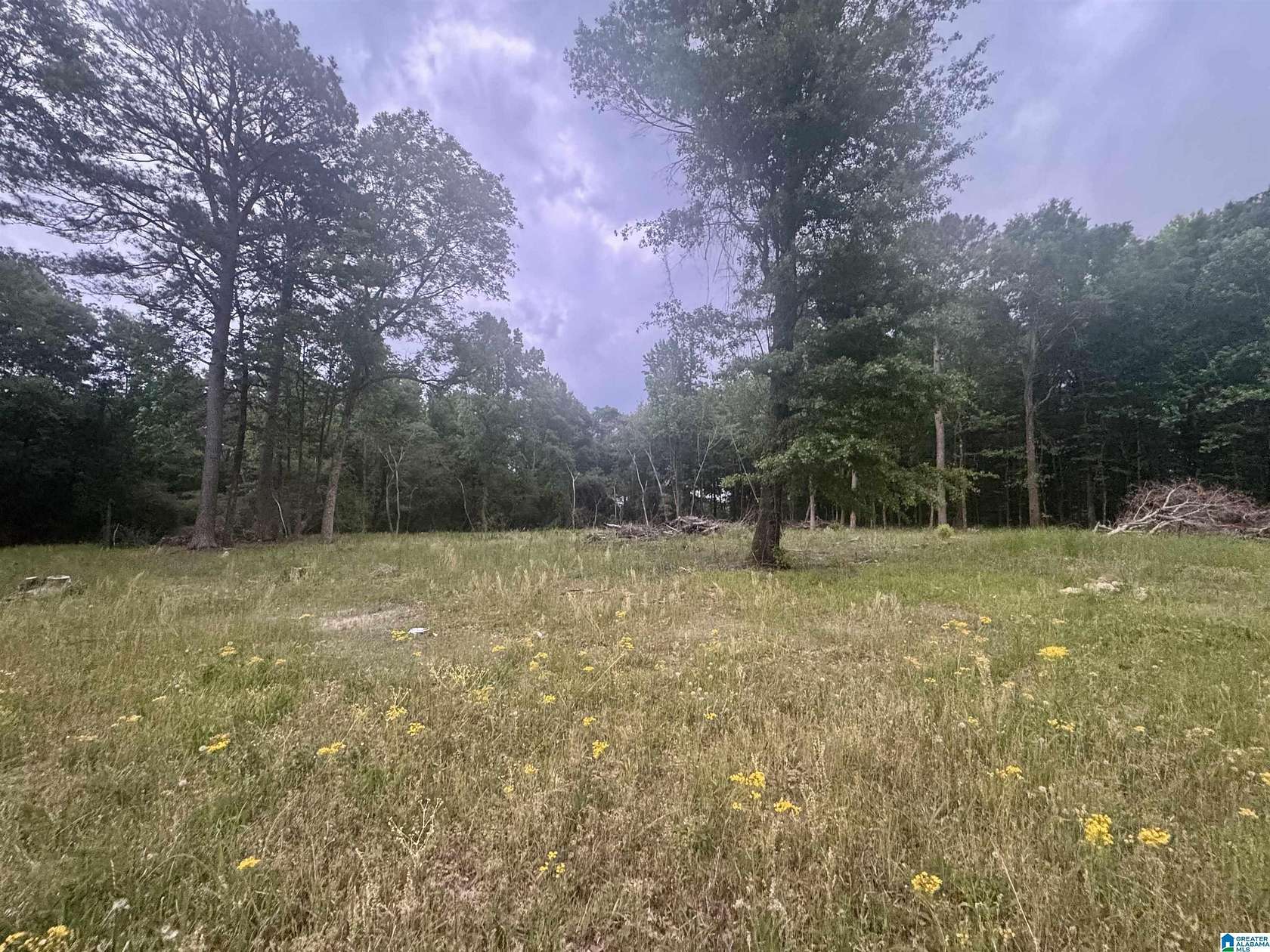4.65 Acres of Residential Land for Sale in Clanton, Alabama