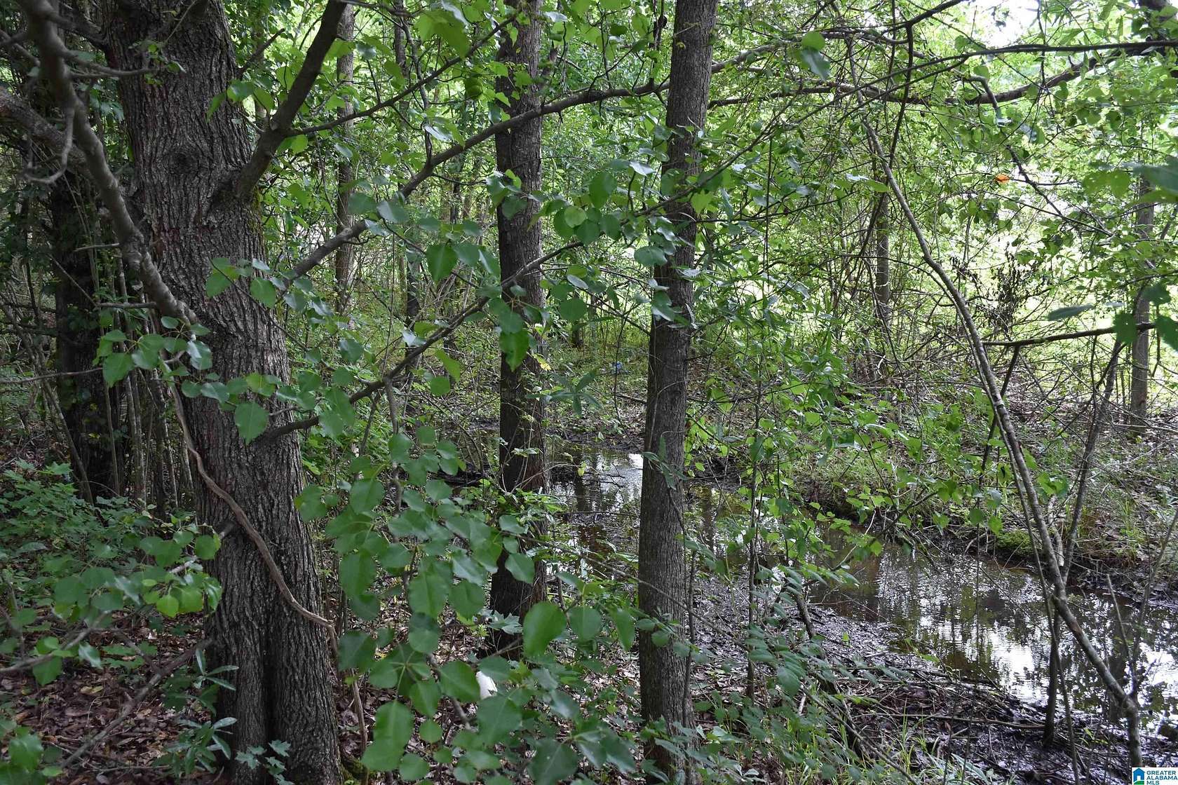 31.9 Acres of Land for Sale in Sylacauga, Alabama