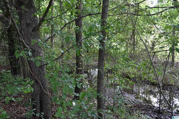 31.9 Acres of Land for Sale in Sylacauga, Alabama
