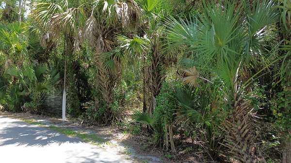 5 Acres of Residential Land for Sale in Loxahatchee Groves, Florida