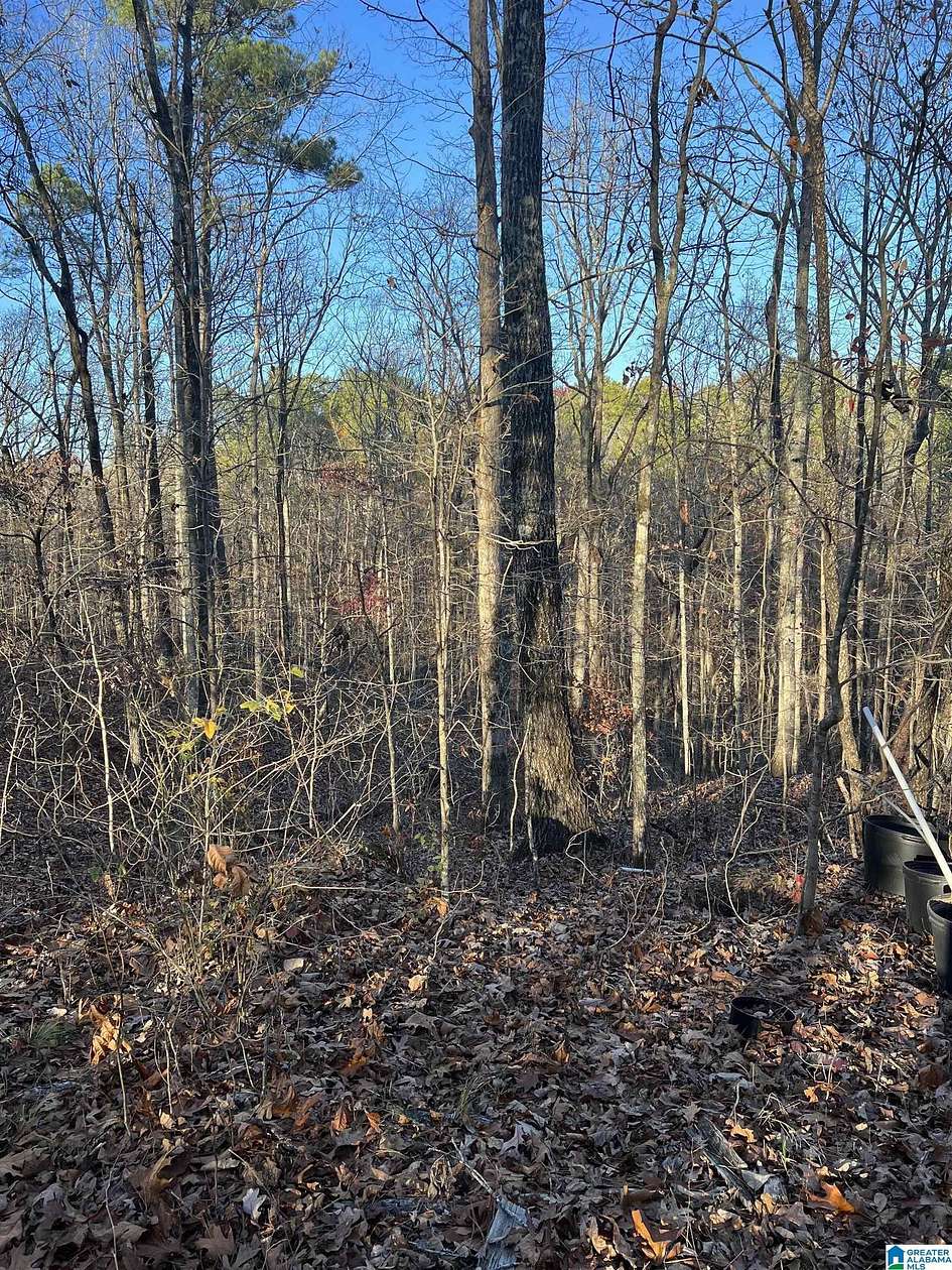 25.7 Acres of Recreational & Residential Land for Sale in Jemison, Alabama