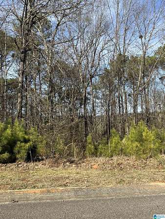 1.16 Acres of Residential Land for Sale in Springville, Alabama