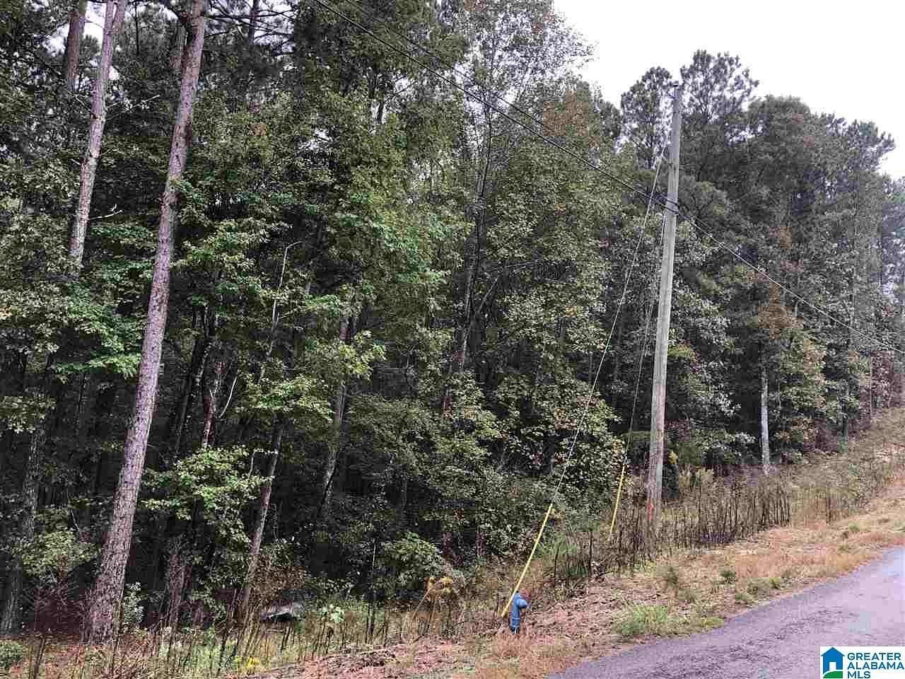 4 Acres of Residential Land for Sale in Odenville, Alabama