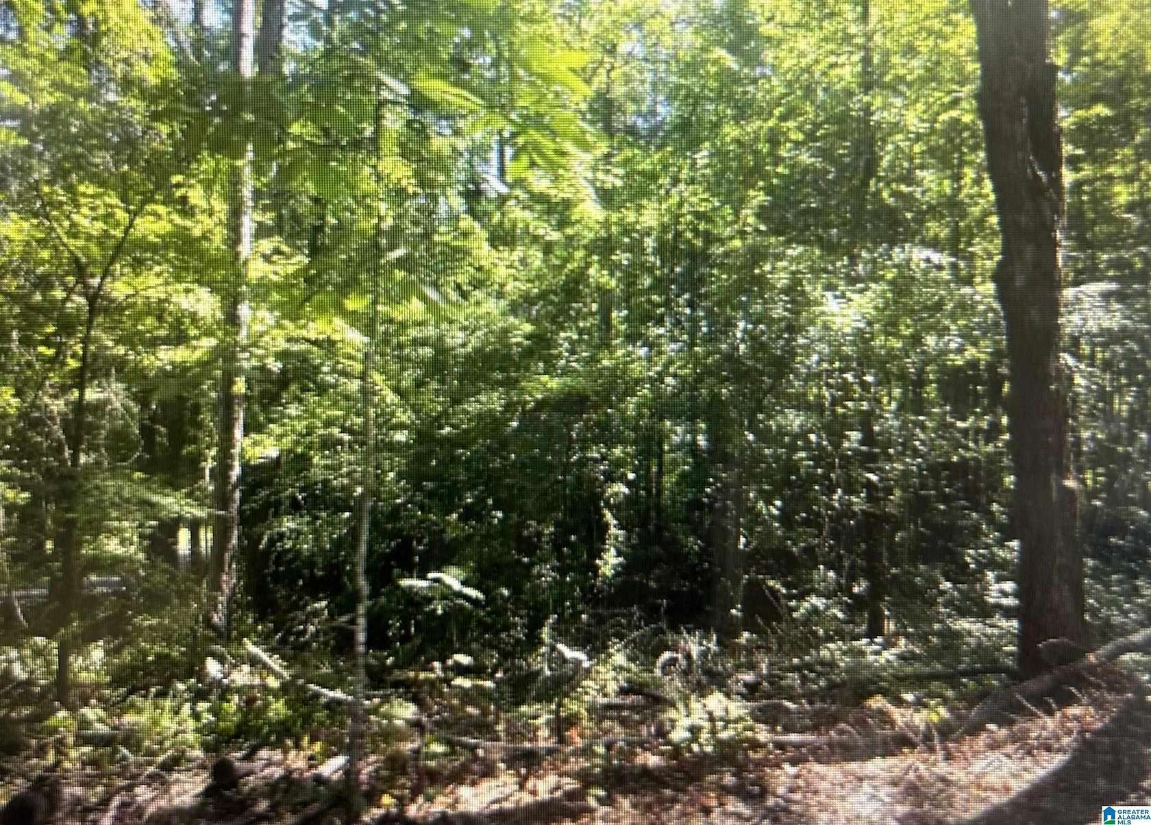 0.35 Acres of Land for Sale in Alpine, Alabama
