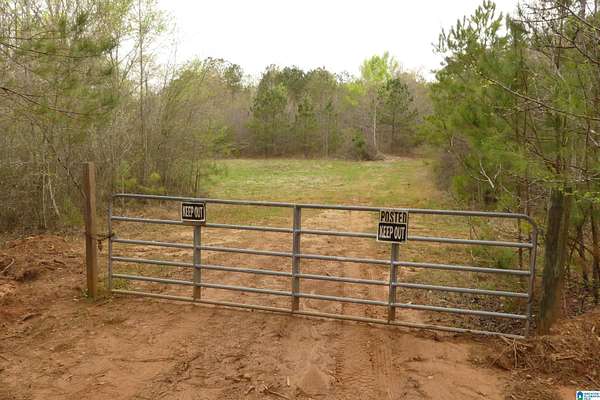 54.9 Acres of Recreational Land for Sale in Wedowee, Alabama