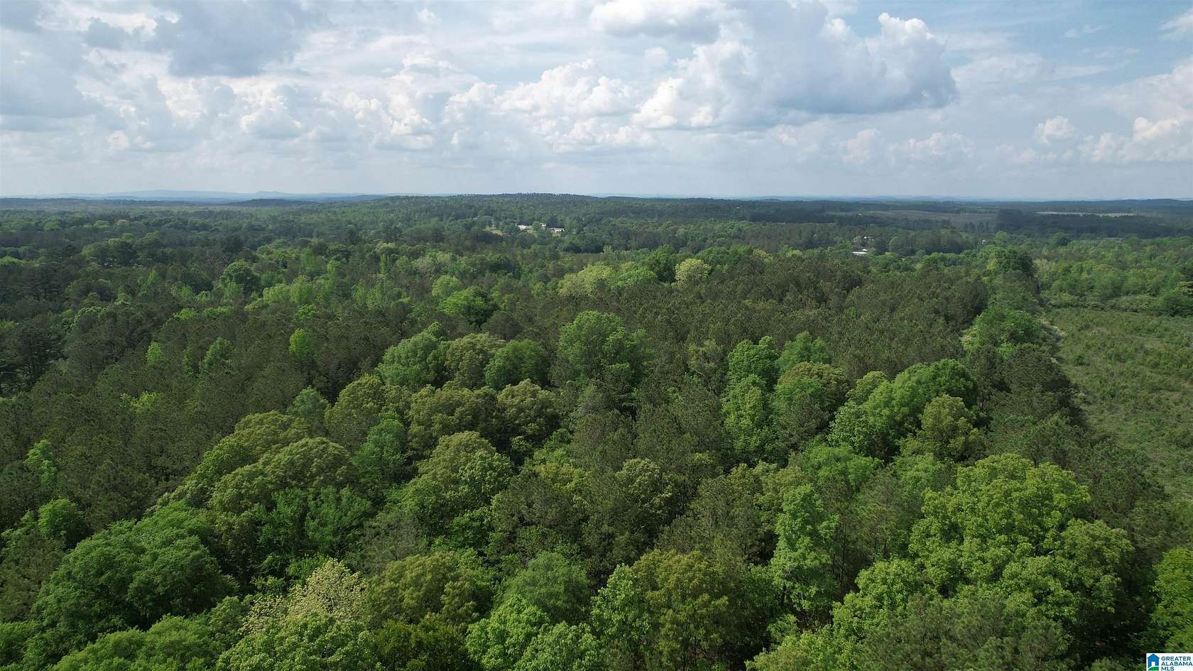 10 Acres of Residential Land for Sale in Talladega, Alabama