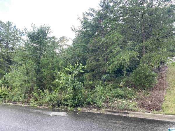 0.5 Acres of Residential Land for Sale in Helena, Alabama