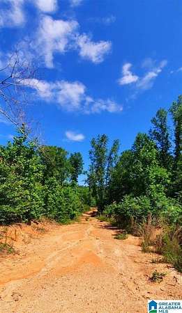 20 Acres of Land for Sale in Wedowee, Alabama