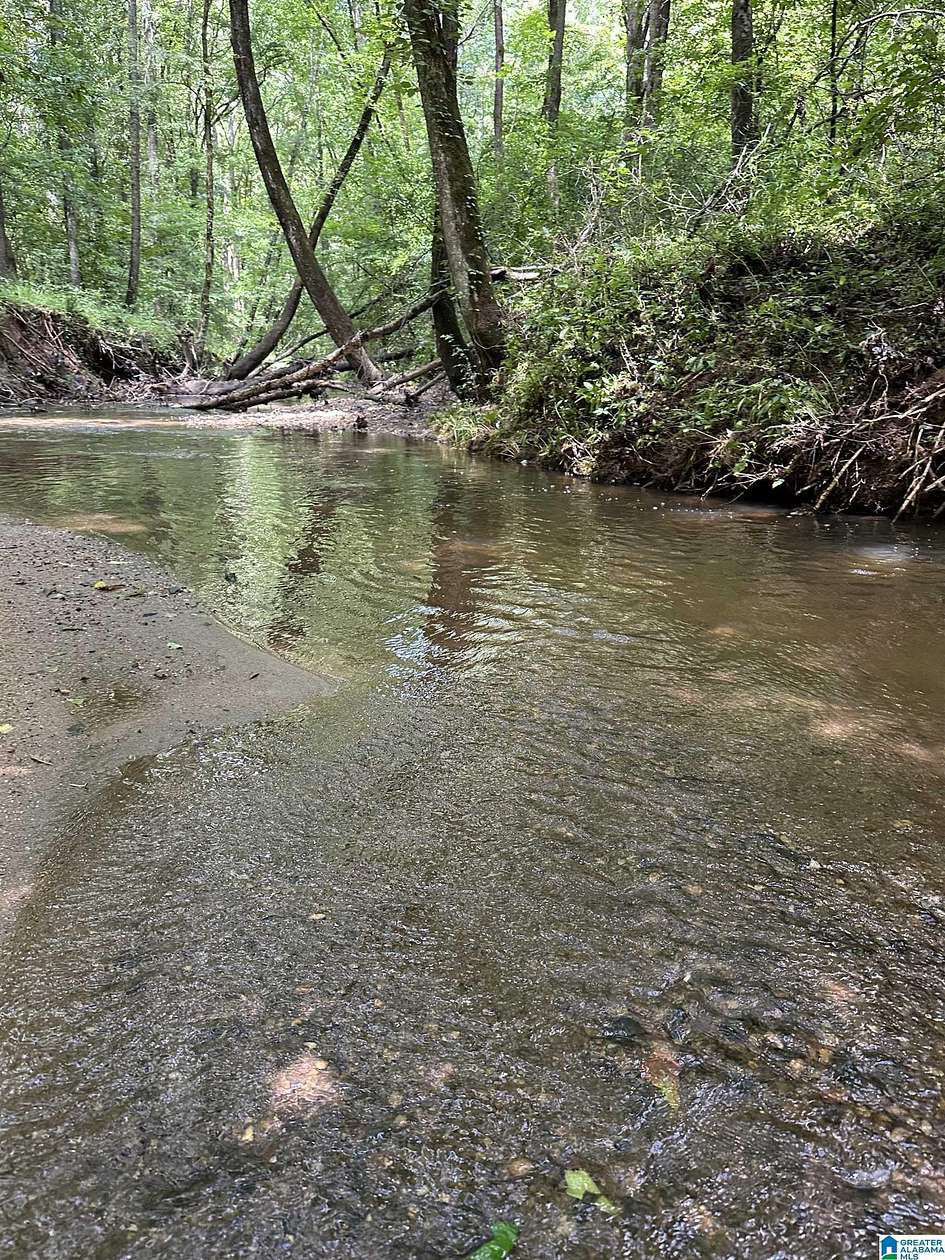 91 Acres of Recreational & Residential Land for Sale in Five Points, Alabama
