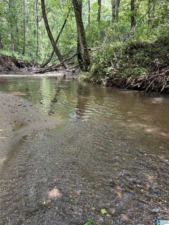 91 Acres of Recreational & Residential Land for Sale in Five Points, Alabama